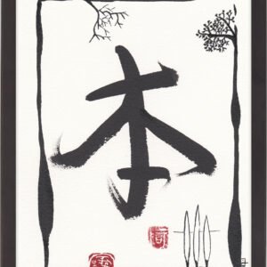 Import placeholder for 264