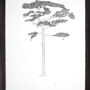 Import placeholder for 213