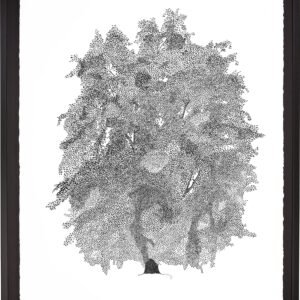 Import placeholder for 88