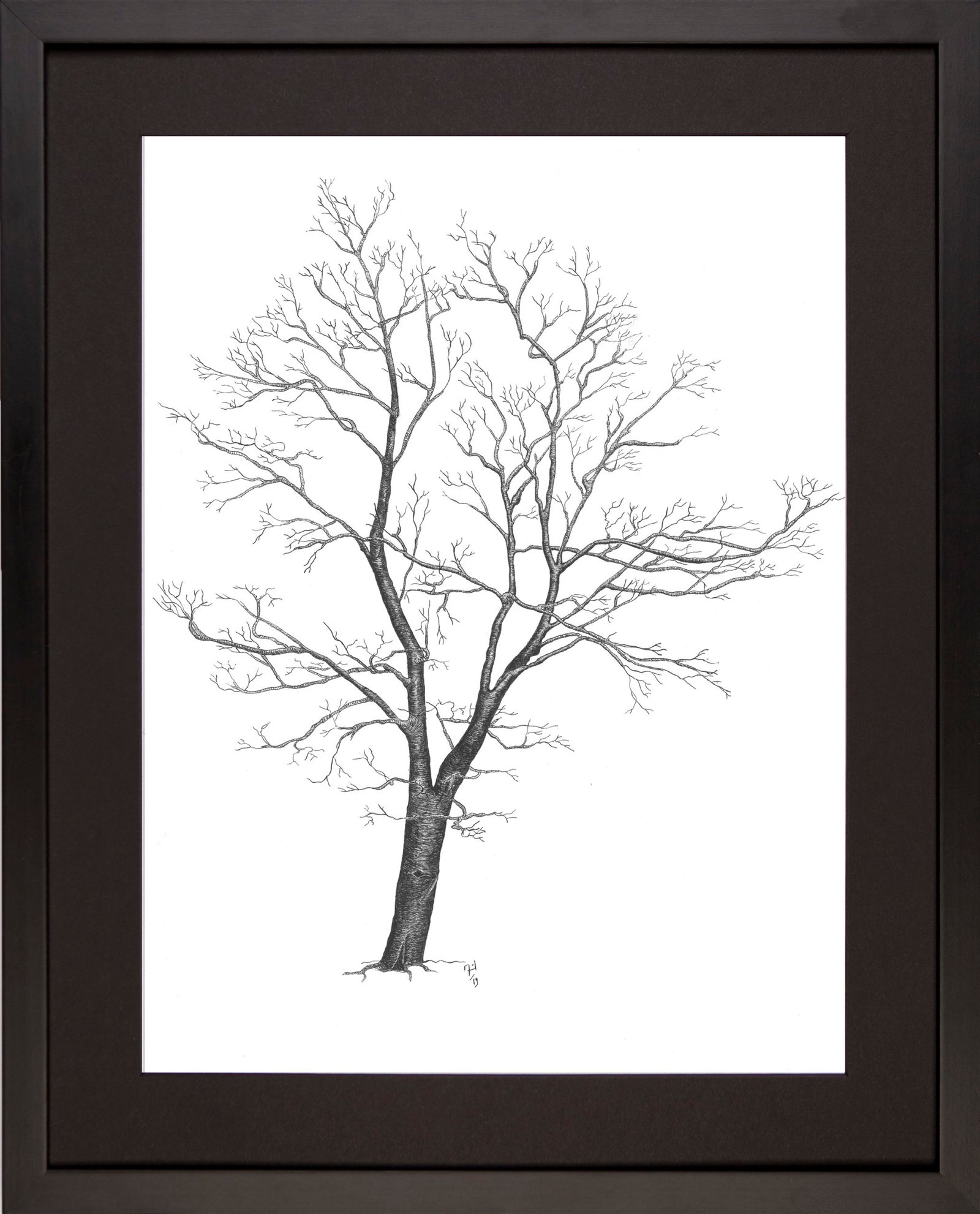 Import placeholder for 218