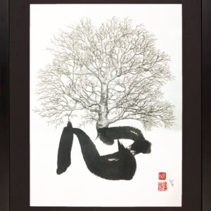 Import placeholder for 216