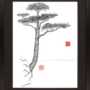 Import placeholder for 220