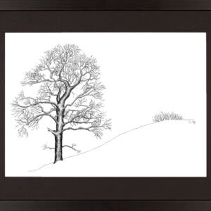 Import placeholder for 222