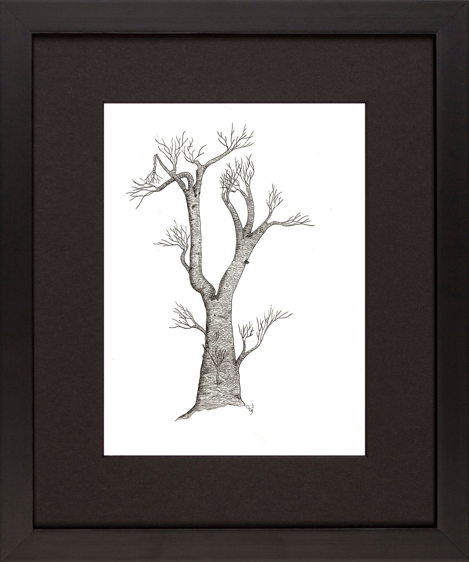 Import placeholder for 247