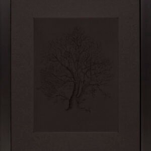 Import placeholder for 231