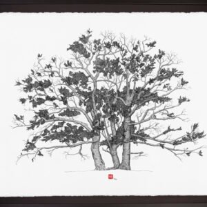 Import placeholder for 187