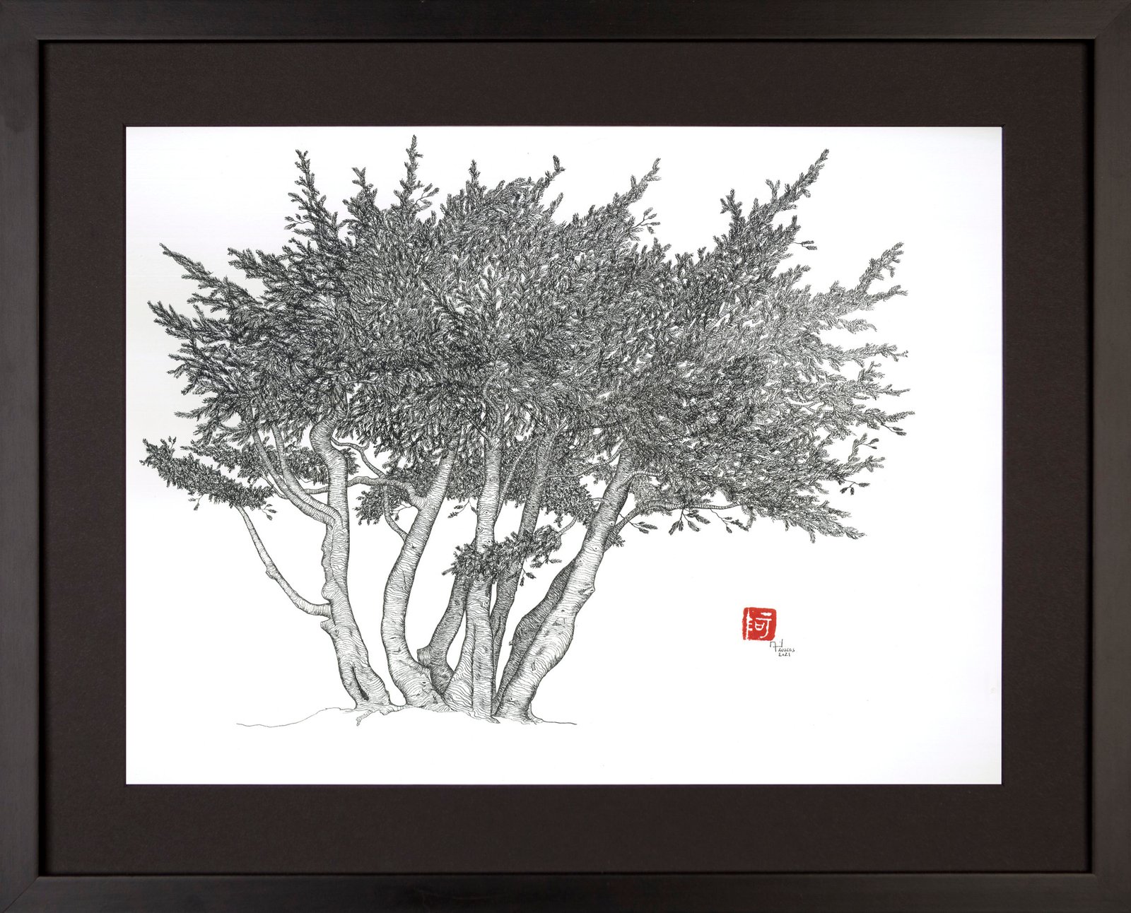 Import placeholder for 242