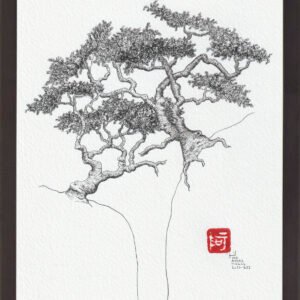 Import placeholder for 208