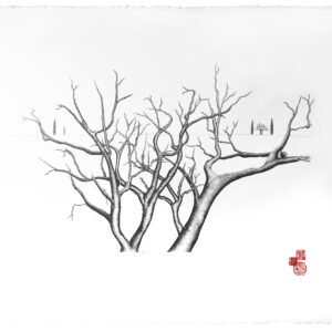 Souvenirs 1 - 191B01