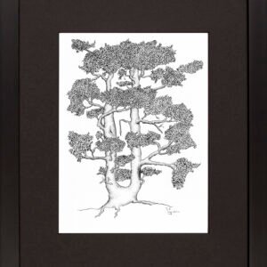 Import placeholder for 229