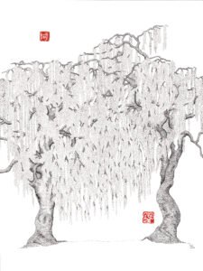 Alexandre Breuil Fleuris