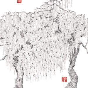 Alexandre Breuil Fleuris