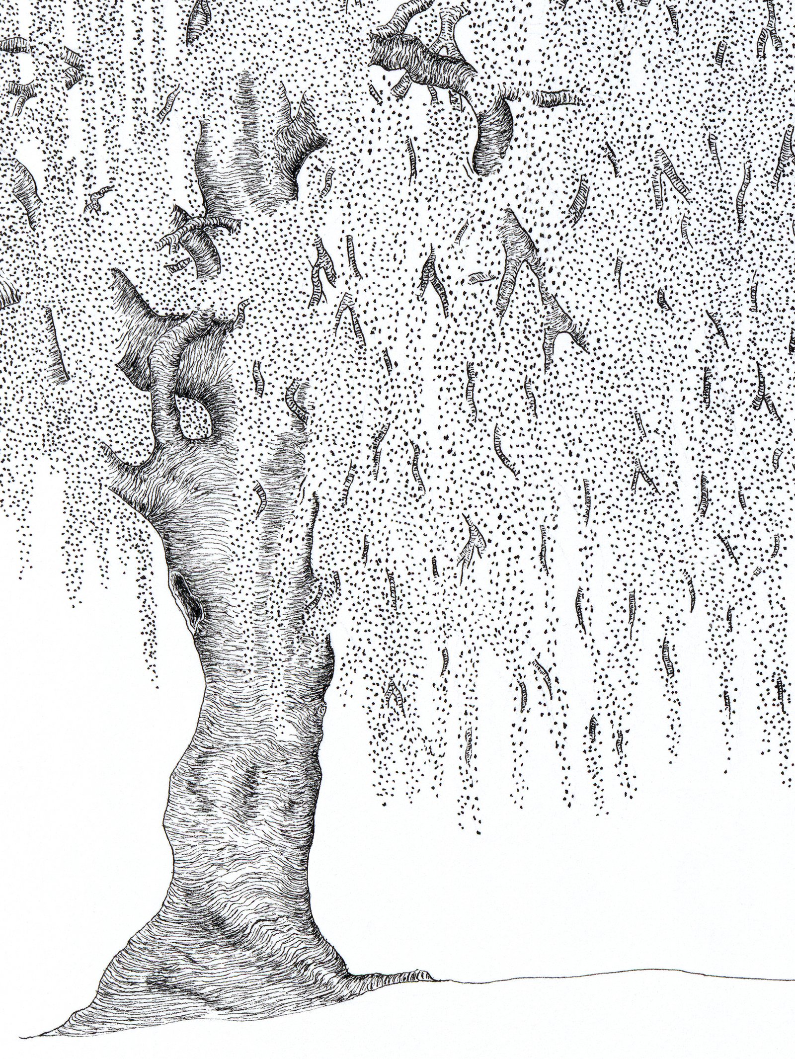 Alexandre Breuil Fleuris