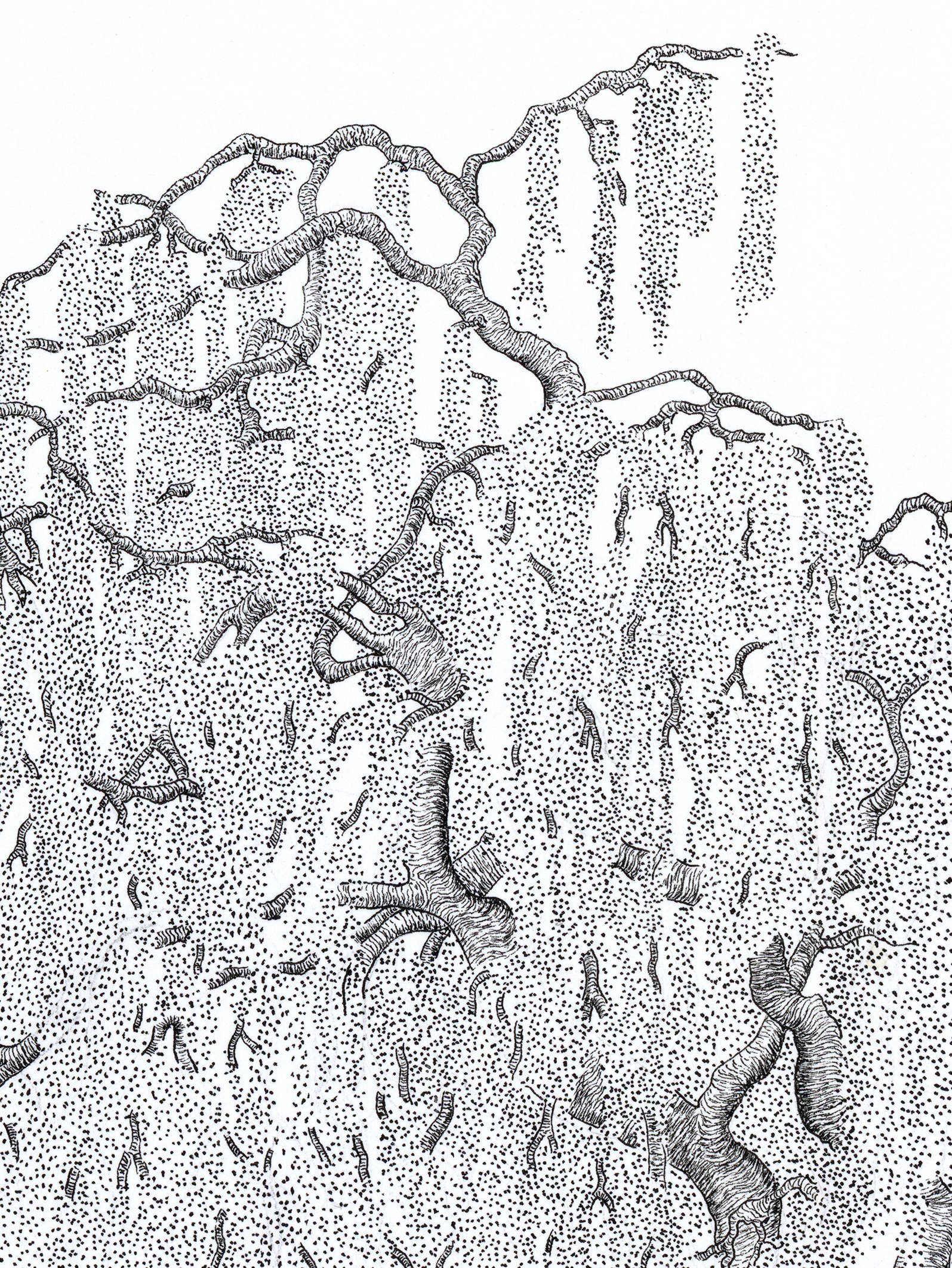 Alexandre Breuil Fleuris