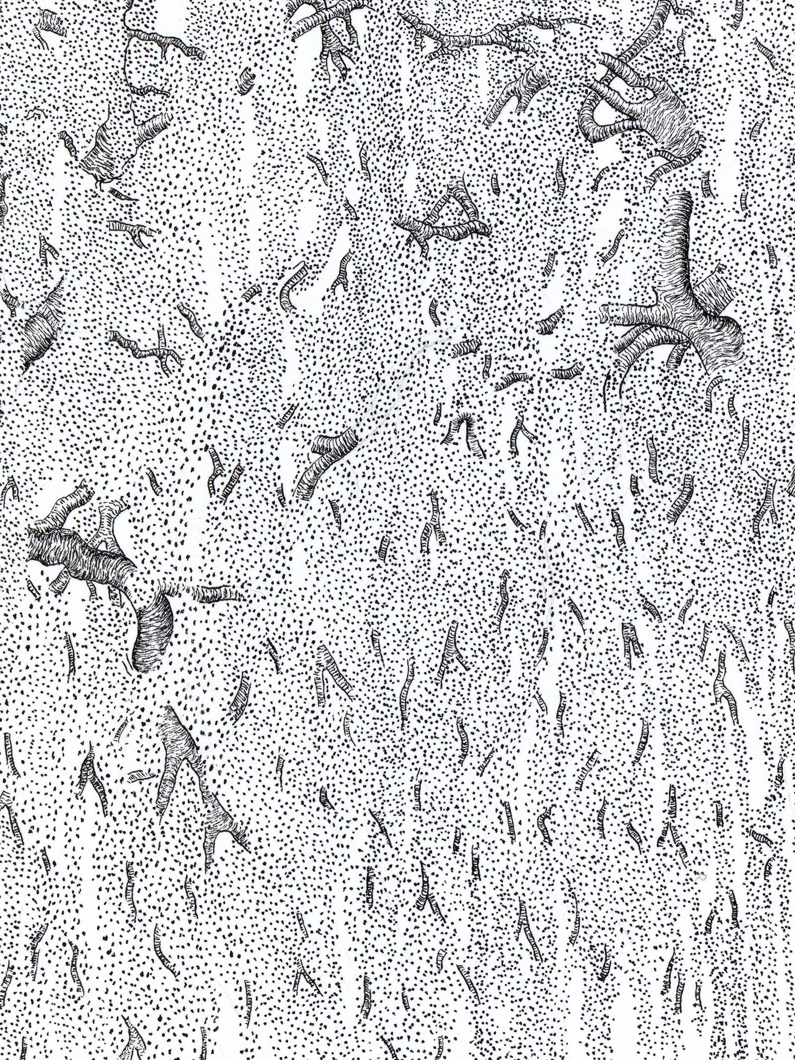 Alexandre Breuil Fleuris