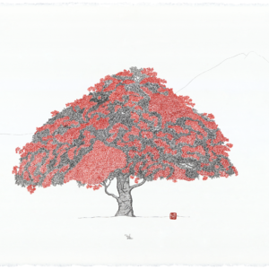 Flamboyant 1 - 231B01