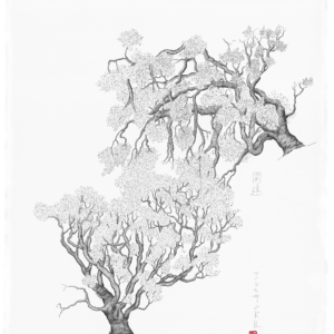 Concerné(e)s - 221f04